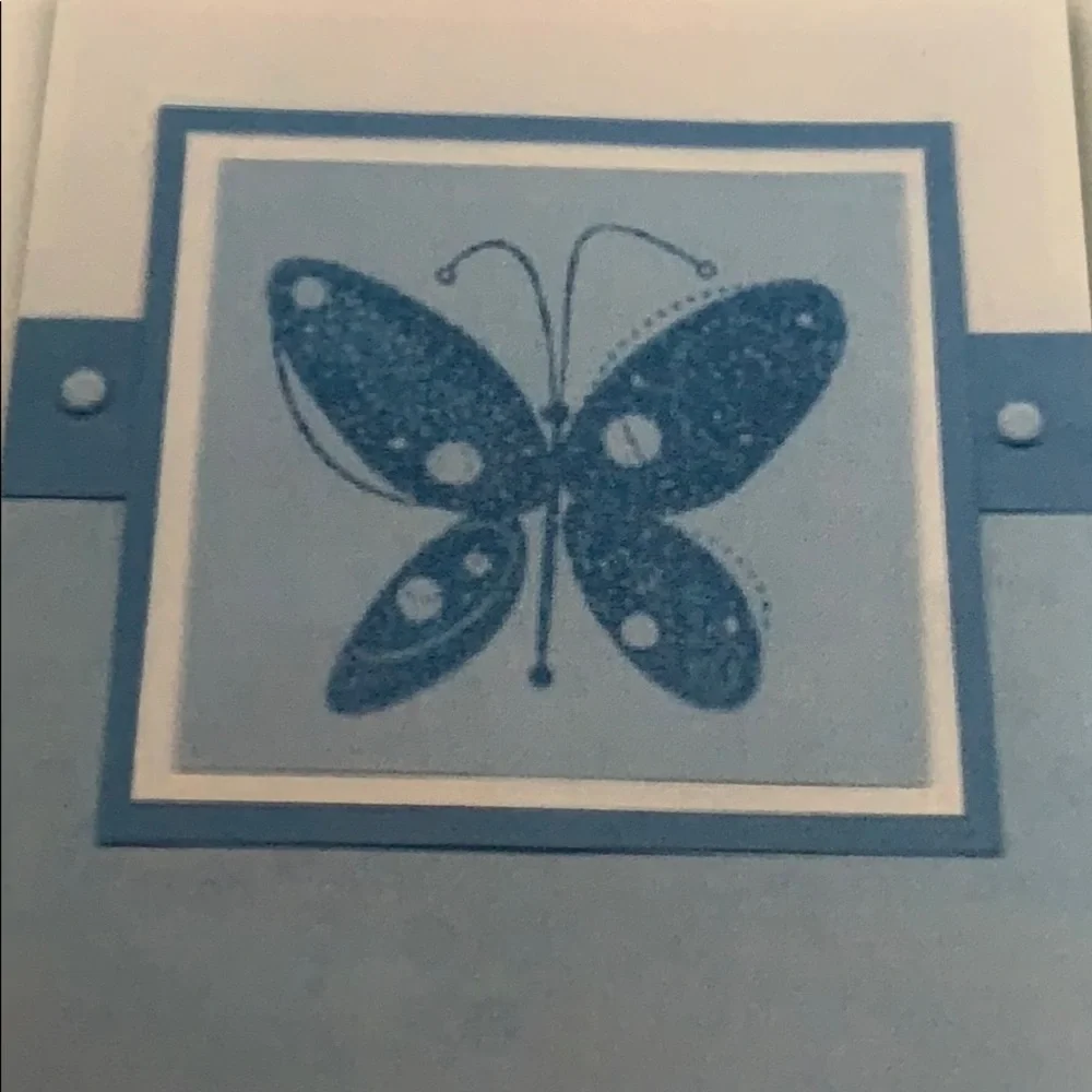 🎭 3/$25 - Stampin Up! Garden Whimsy set